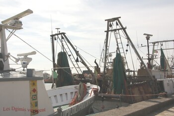 Lido Degli Estensi