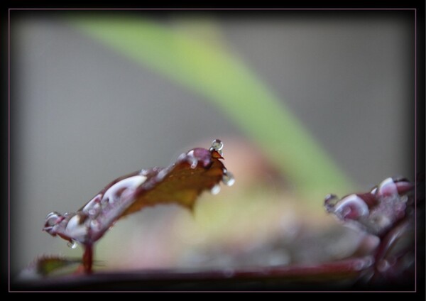 Matin de septembre