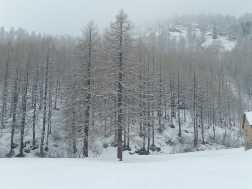 Ski de randonnée dans le Val Devero - Piemont italien