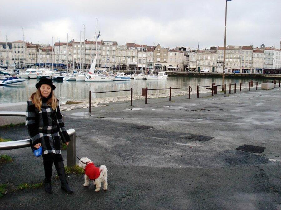 LA ROCHELLE EN DECEMBRE  2015    (2)