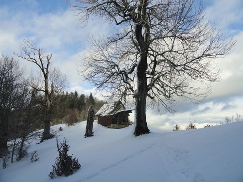 Cabane (2 nuits) : Piéjau (Comminges) - 31