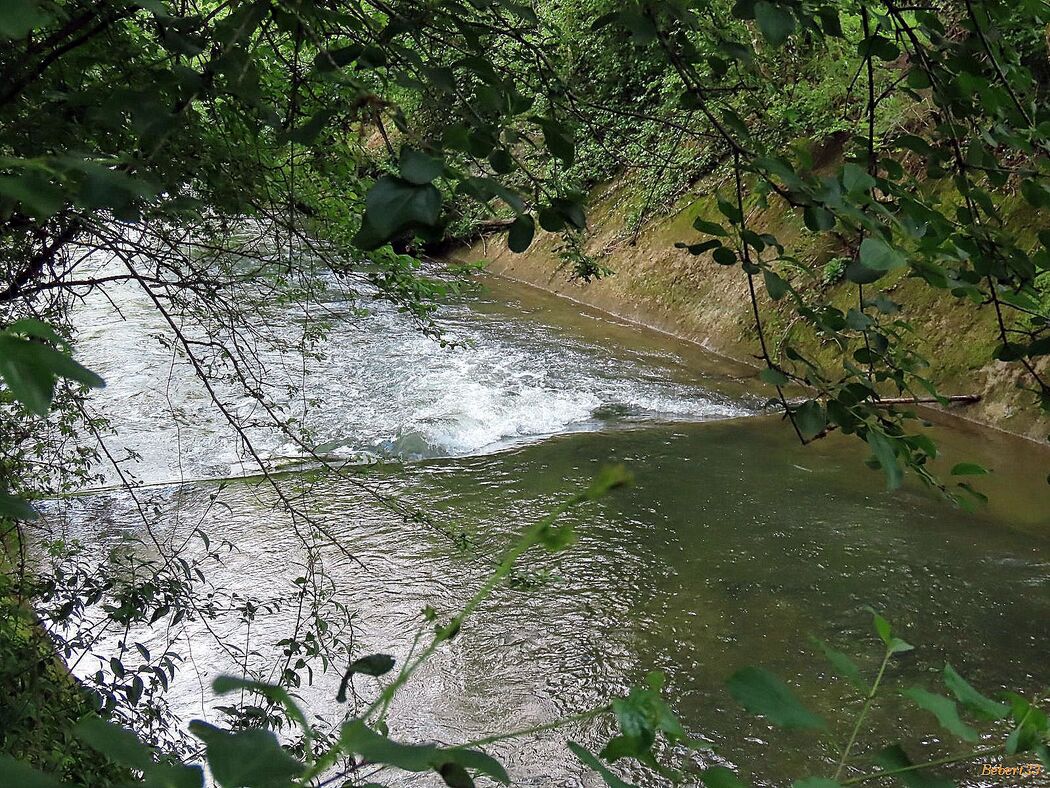 le parc de Pombonne à Bergerac - 4