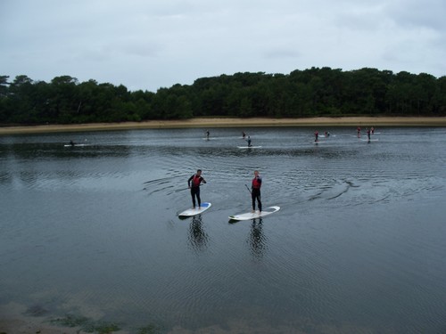 paddle boarders