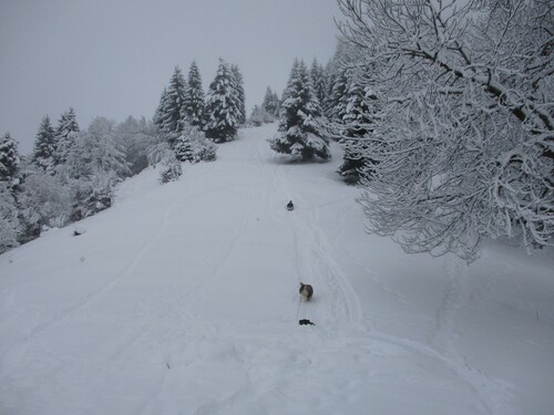 Cabane (2 nuits) : col de Piéjau (Comminges) - 31