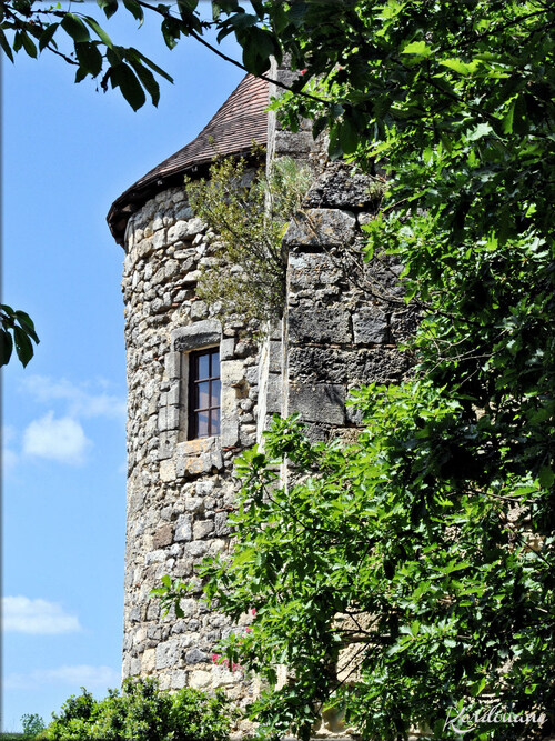 Photos de la tour ronde - château médiéval de Langoiran