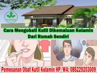 Obat Kutil Kelamin, Cara Mengobati Kutil Dikemaluan Kelamin Dari Rumah Sendiri, Dokter Obat Kutil Kelamin Terbukti Terbaik Dan Terpercaya Obat Kutil Kelamin, Cara Mengobati Kutil Dikemaluan Kelamin Dari Rumah Sendiri, Dokter Obat Kutil Kelamin Terbukti Terbaik Dan Terpercaya