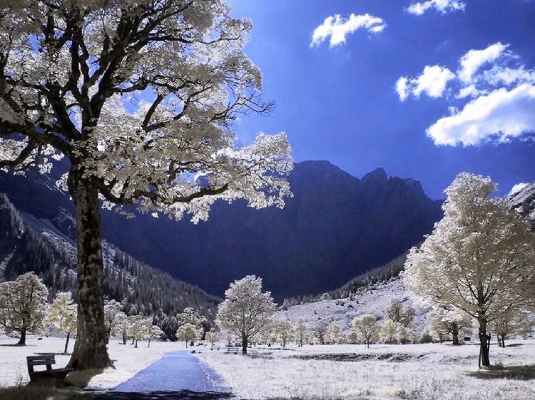 Images du monde : Hiver