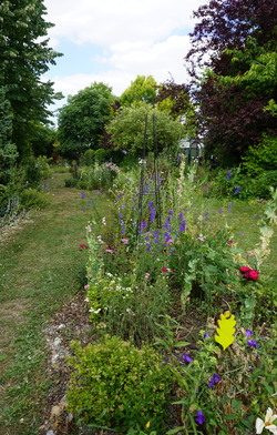 Magical Garden, jardin merveilleux