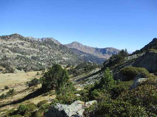 Famille : vallon d'Estibère (Néouvielle) - 65