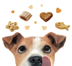 Biscuits pour chiens