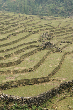 Sapa, un festival de couleurs