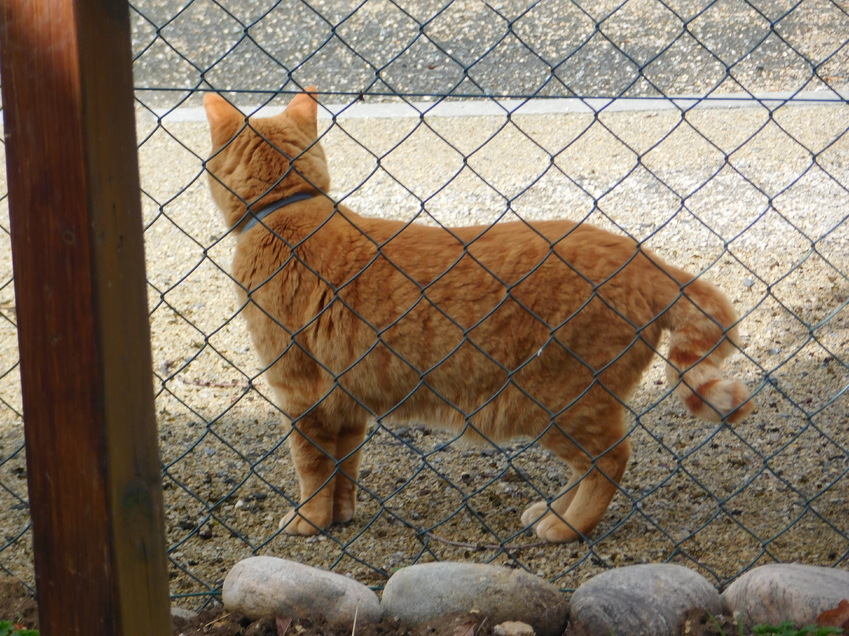 * Quelques photos de miss Ioka *