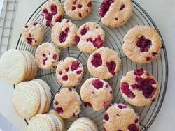 COEURS DE LA SAINT VALENTIN