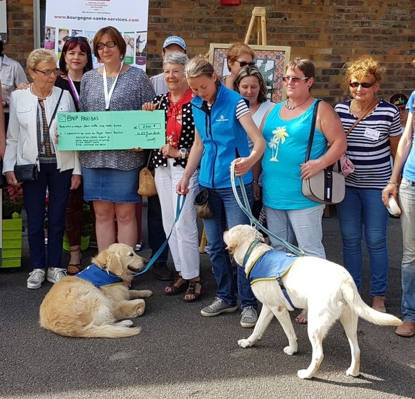 L'association L'Z (elles aident) participe à l'achat d'un chien pour handicapés destiné au foyer Henri Baillot de Châtillon sur Seine