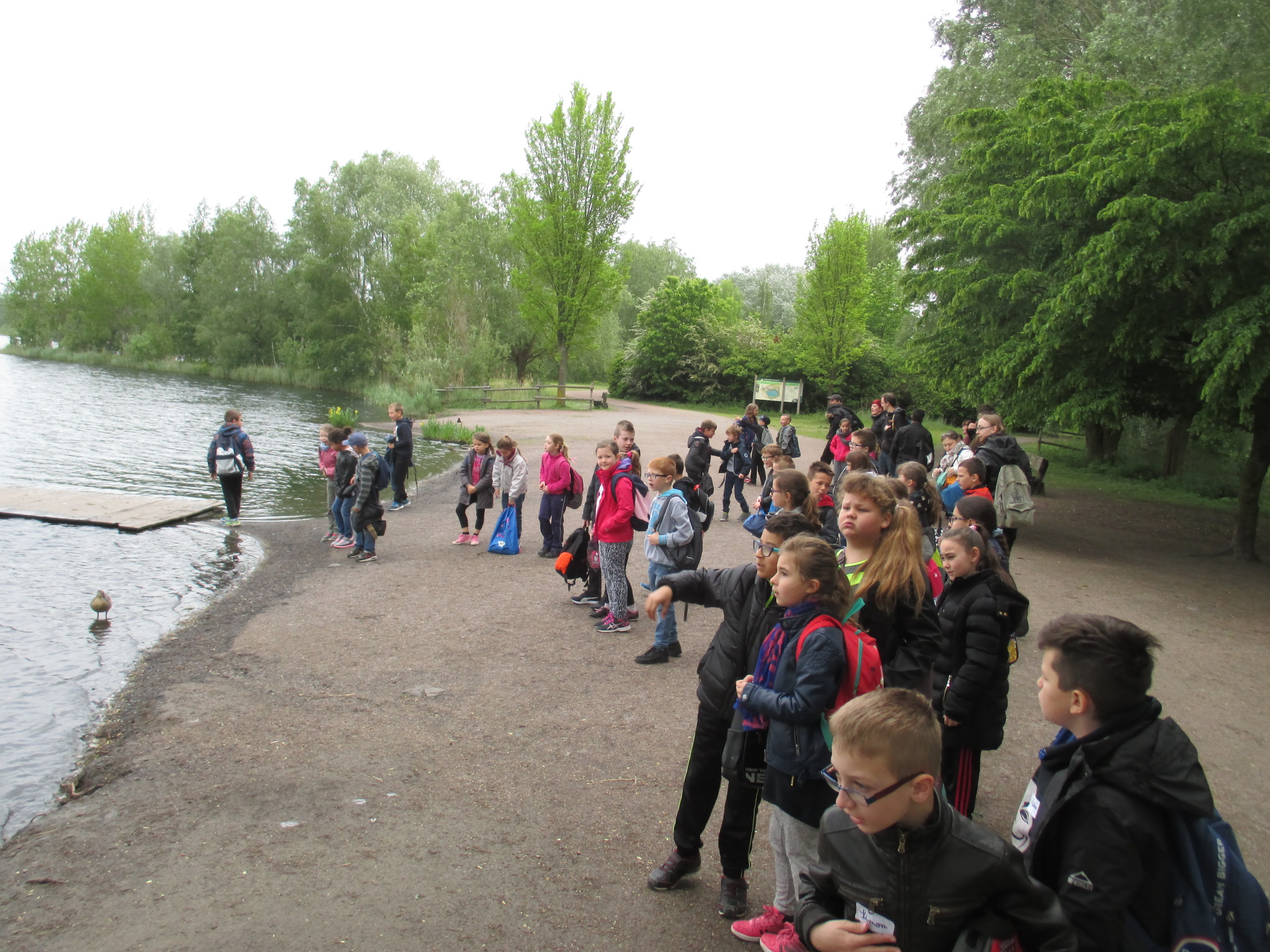 rencontre rieulay