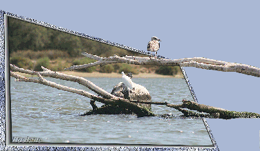 Aperçu des tutos de Tags