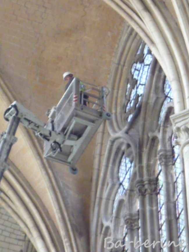 Un bourdon dans la cathédrale d'Amiens 