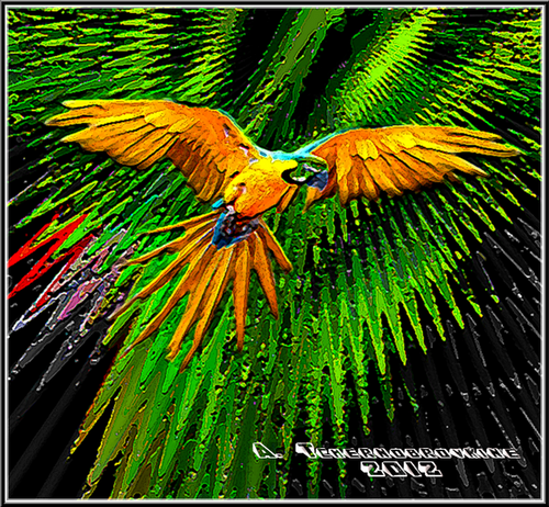 Le perroquet dans la jungle amazonienne