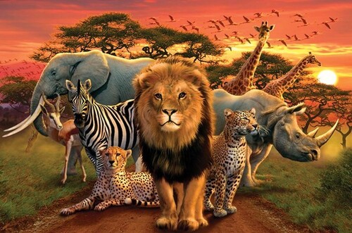 Période 4: les grosses bêtes d'Afrique