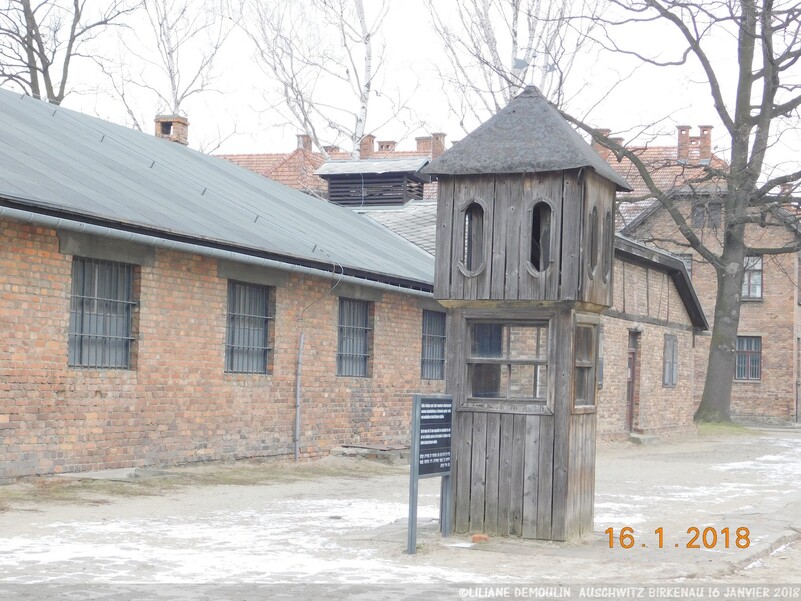 VISITE DU CAMP DE CONCENTRATION D'AUSCHWITZ