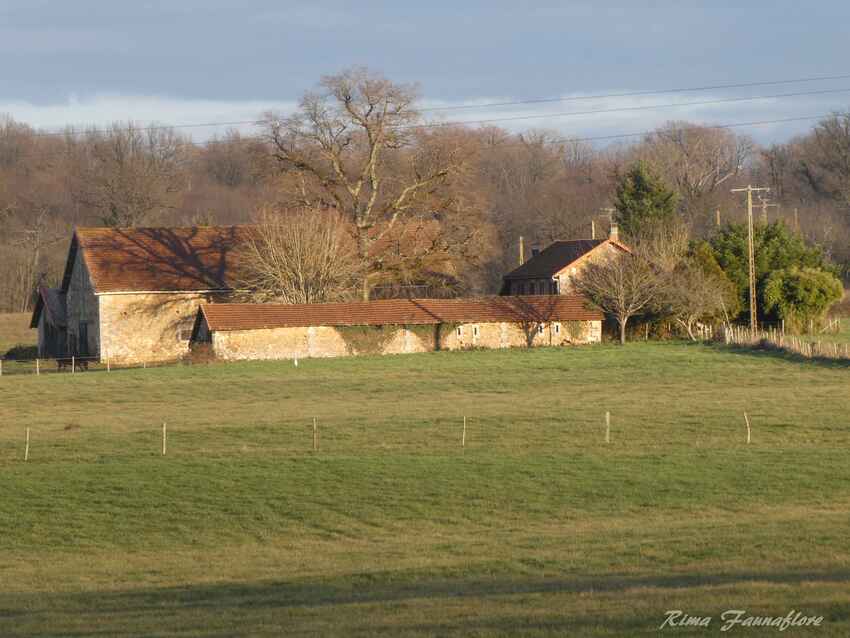 A la campagne,