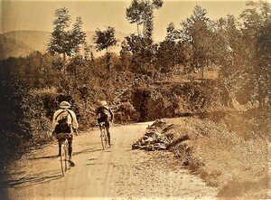 Massat : Le tour de France cycliste de 1914