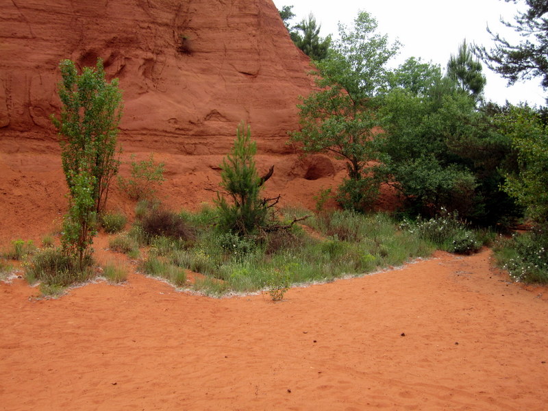 Colorado provençal