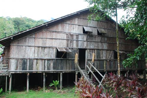 Samedi 13 juillet Ethnies et lucioles