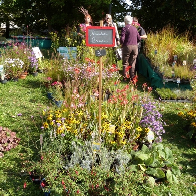 Pépinières et plantes d'exception à Borest : le cru 2015...