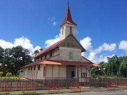 Guyane/ La forêt primaire