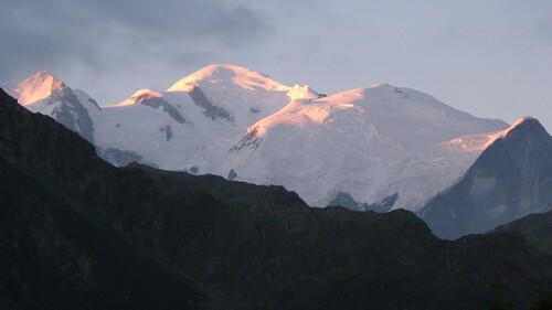 Mont-Blanc rose