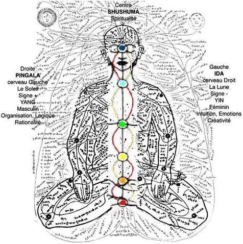 Respirations fondamentales