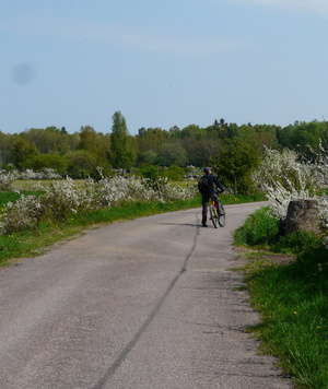 L'île d'Öland