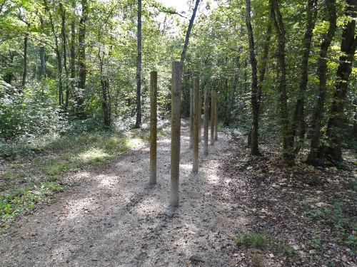 Le parcours de santé en forêt châtillonnaise...