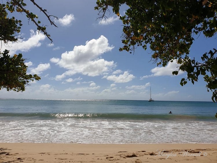 La Martinique : Bord de mer