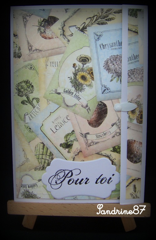 carte porte sachet de graines