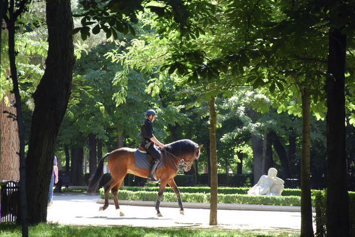 Castilla - Madrid - Policier à cheval dans le parc du Buen Retiro