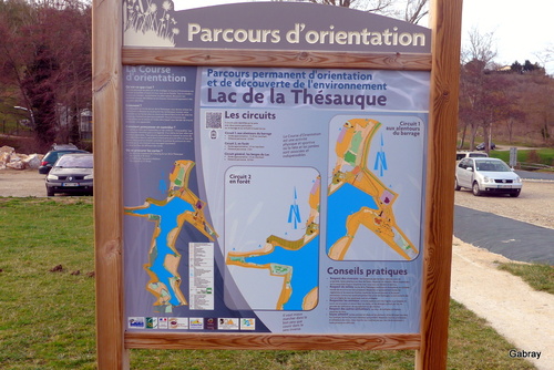 Nailloux : les oies du lac de la Thésauque ... n 2