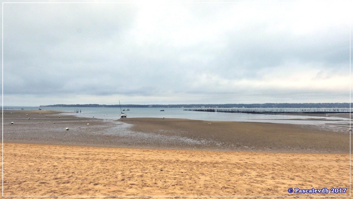 Traversée du Bassin entre Arcachon et le Cap Ferret - 7/14