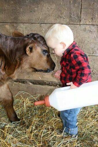 Un petit séjour à la ferme