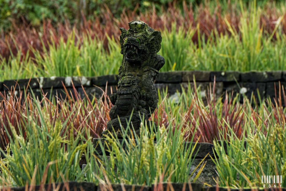 Les statues gardiennent de la rizière dans le royaume de Ganesha. Part.2