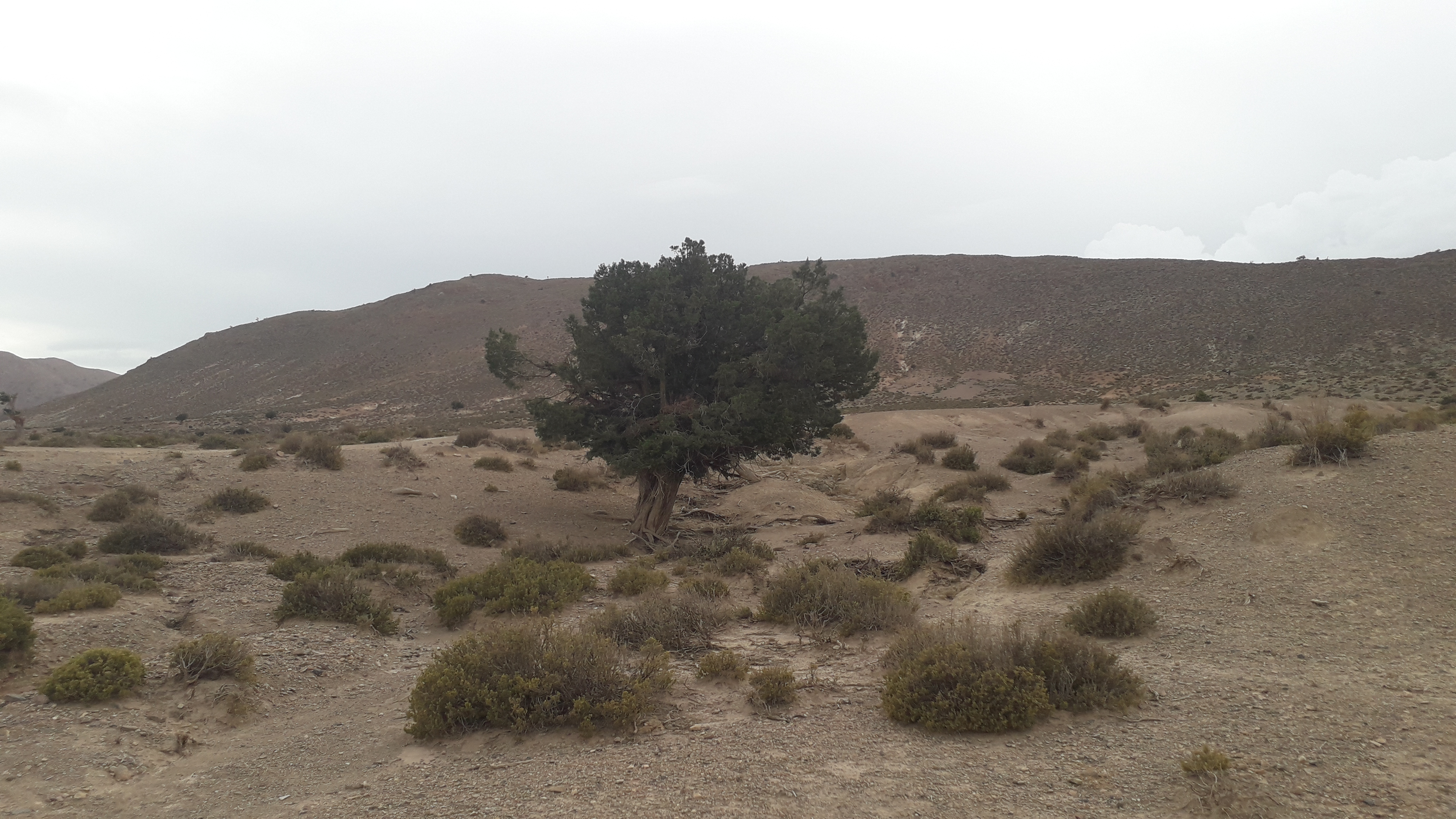 Bivouac du côté de Midelt