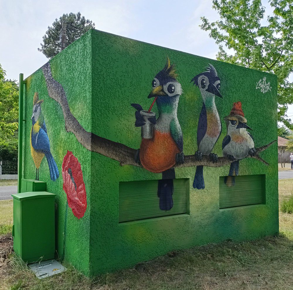 Street-art dans la ville - Coquelicots, oiseaux et coccinelle...