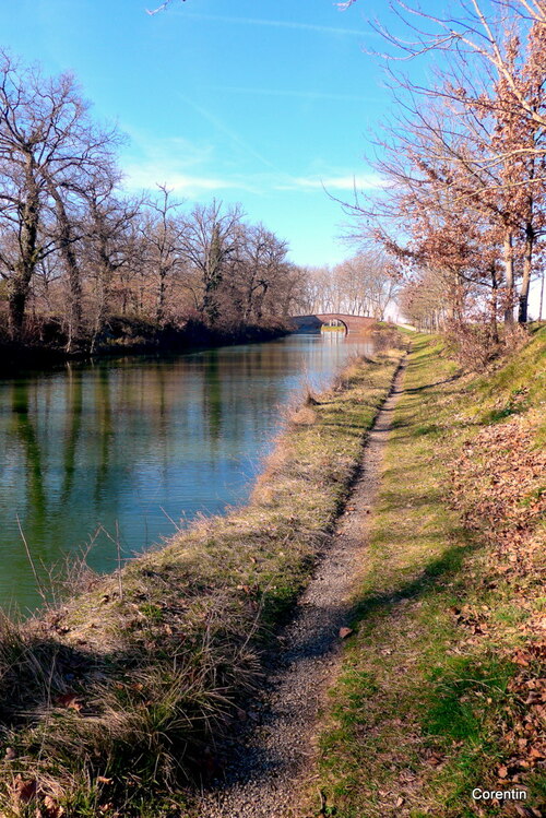 Au bord du Canal du Midi