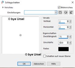 Schönheit des Unterholzes im Herbst