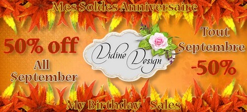 Promo anniversaire Didine Design