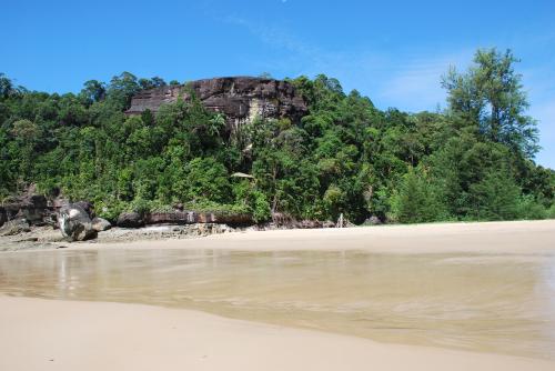 Mardi 16 juillet dans la jungle à Bako