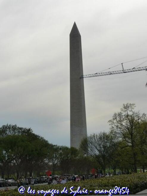 USA - Washington Monument 