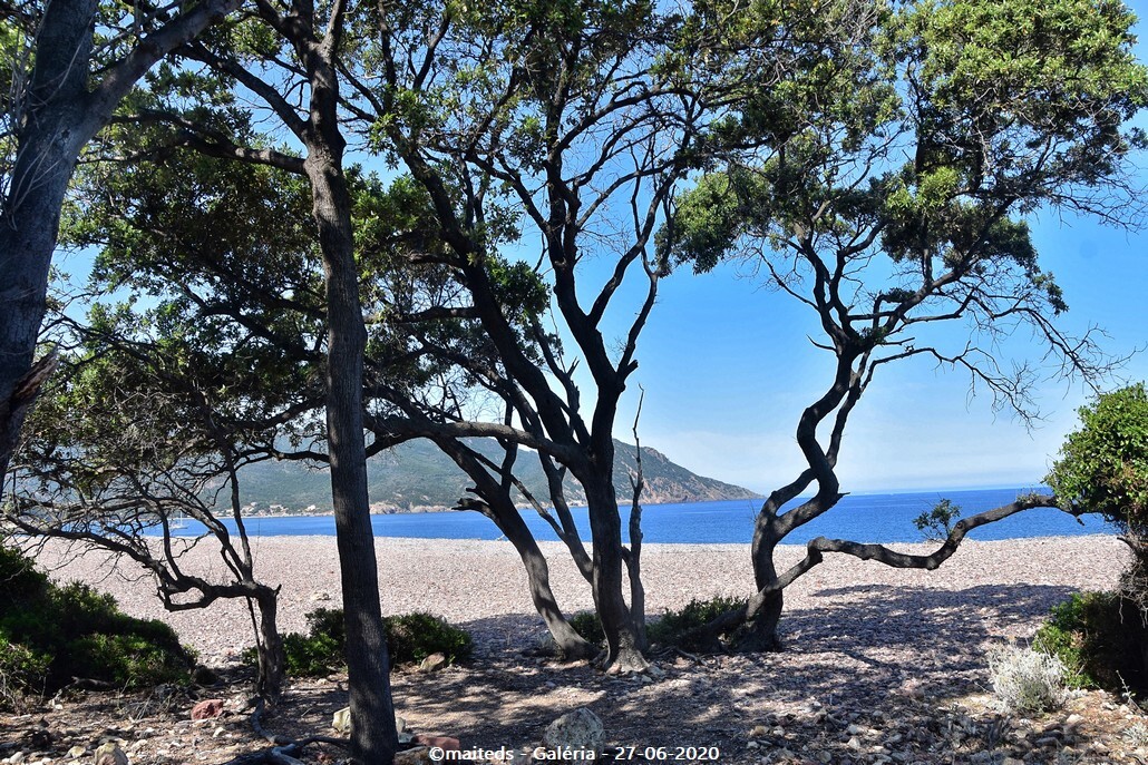 Grande plage de Galéria - Corse