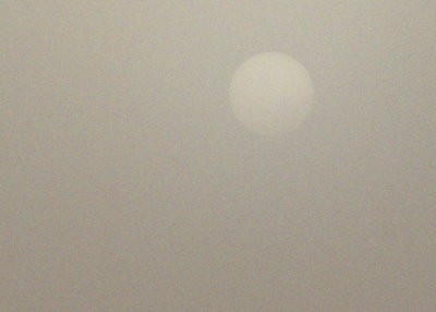 soleil filtré par le brouillard01